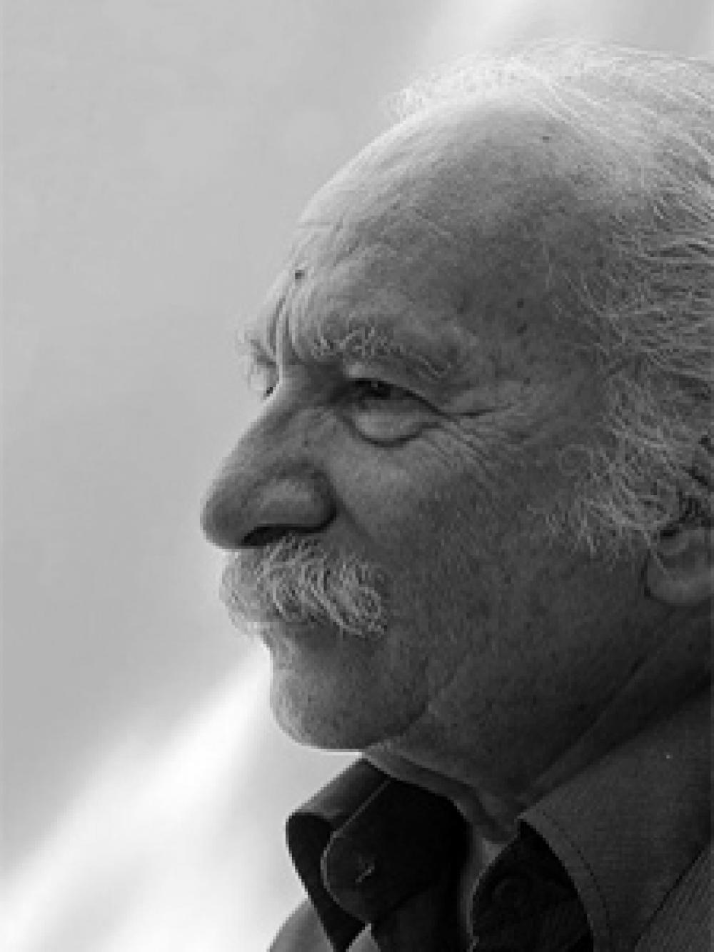 Mohammad Mansour Falamaki