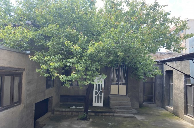 همان حیاط در تابستان، پیش از کار: یک درختِ توت، دو پنجره‌ی قدیمی و دیواری اندوده‌شده با سیمان که در رنگِ شهرِ خود نشسته است.