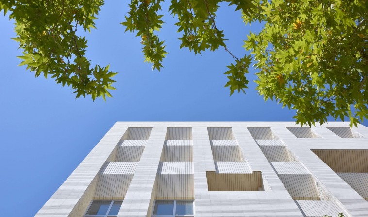 Cantilevered planter in the central facade void