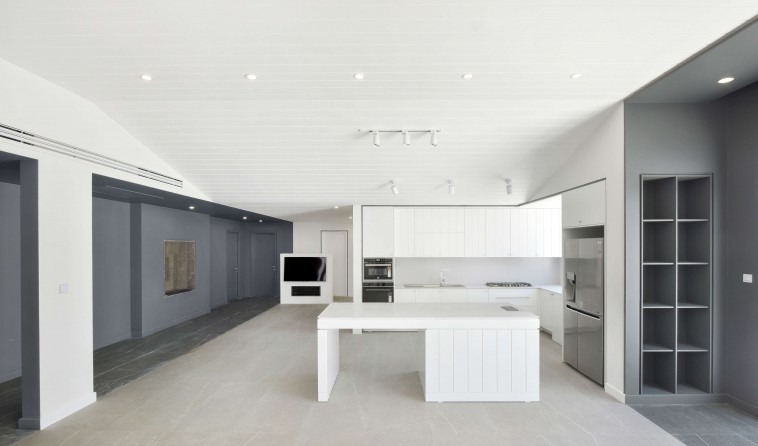 Open-plan kitchen and living area under the vaulted ceiling