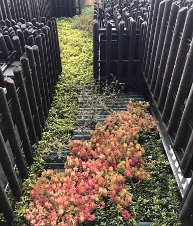 باغ بام در بهار: کاشت‌های کوتاه میان دیوارهای میخ‌دار، تراس بالا را به باغچه خانوادگیِ مشترک بدل می‌کنند.