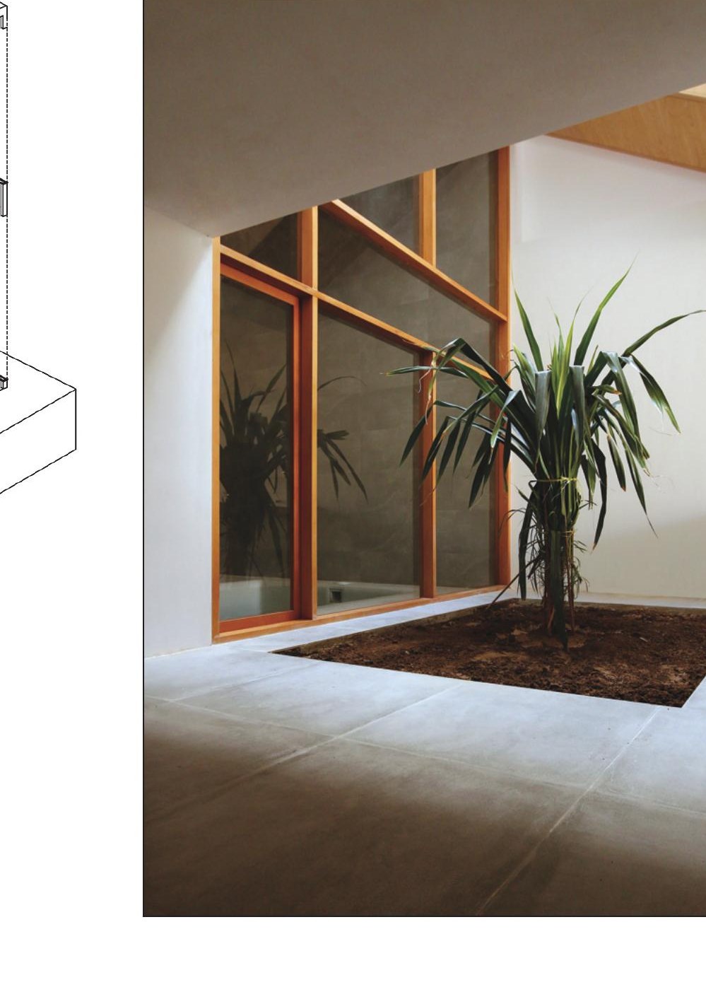 Atrium plant and pool