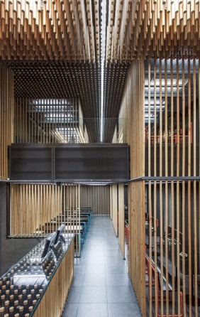 Wood and iron entrance partition