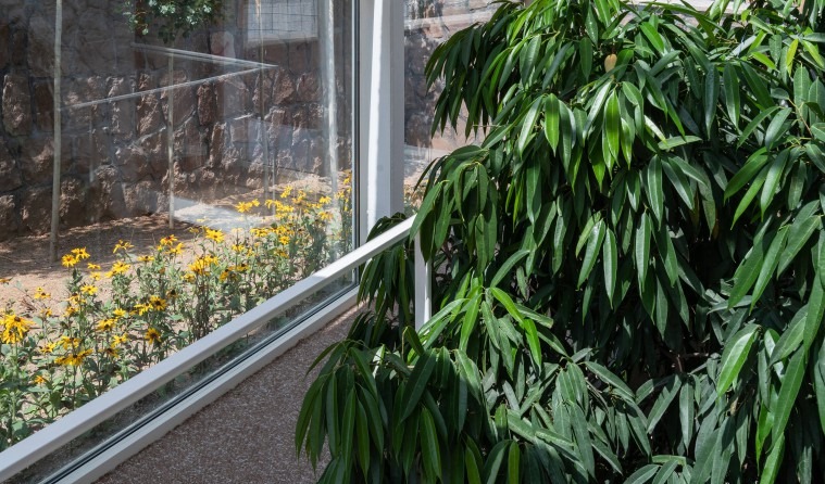 Indoor garden view of a bamboo plant looking out at marigolds and the stone wall through glass