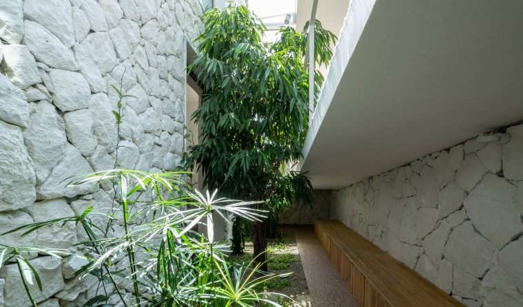 Stone-walled alley with indoor bamboo plants and a wooden bench along one side