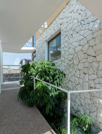 Stone-clad exterior wall with rectangular window and indoor bamboo plant in the foreground