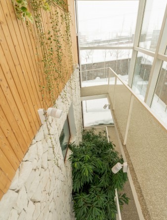 Snowy day view from the wood-clad gallery looking out through glass at falling snow and plants