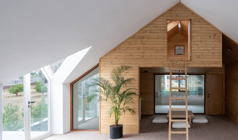 Wood-clad bedroom interior with mezzanine loft, wooden ladder and indoor potted plant