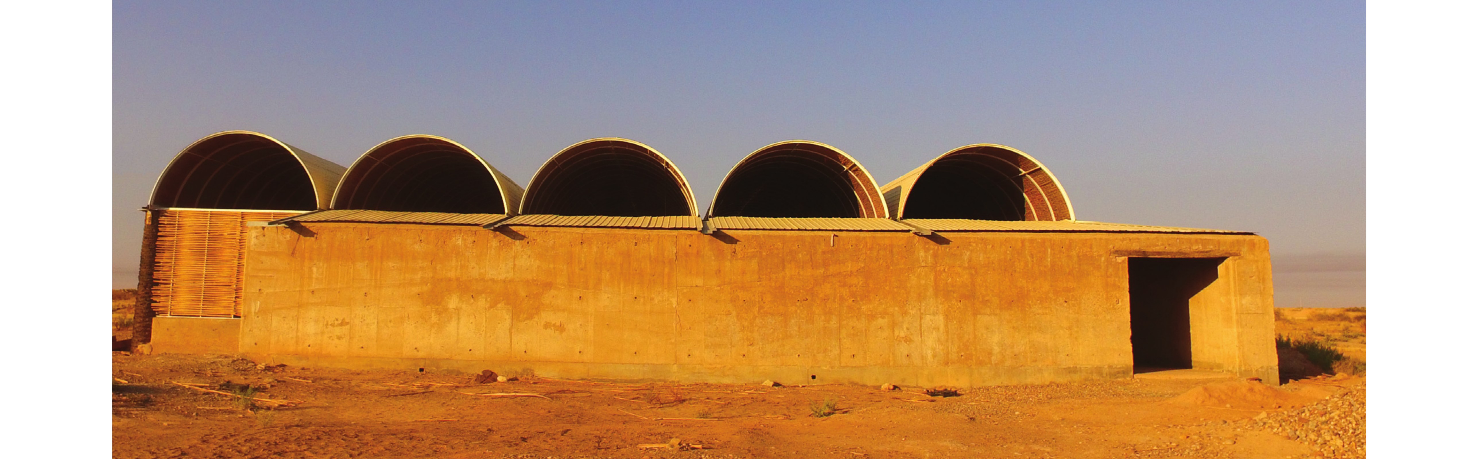 Exterior — five barrel vaults rising over the rammed-earth walls