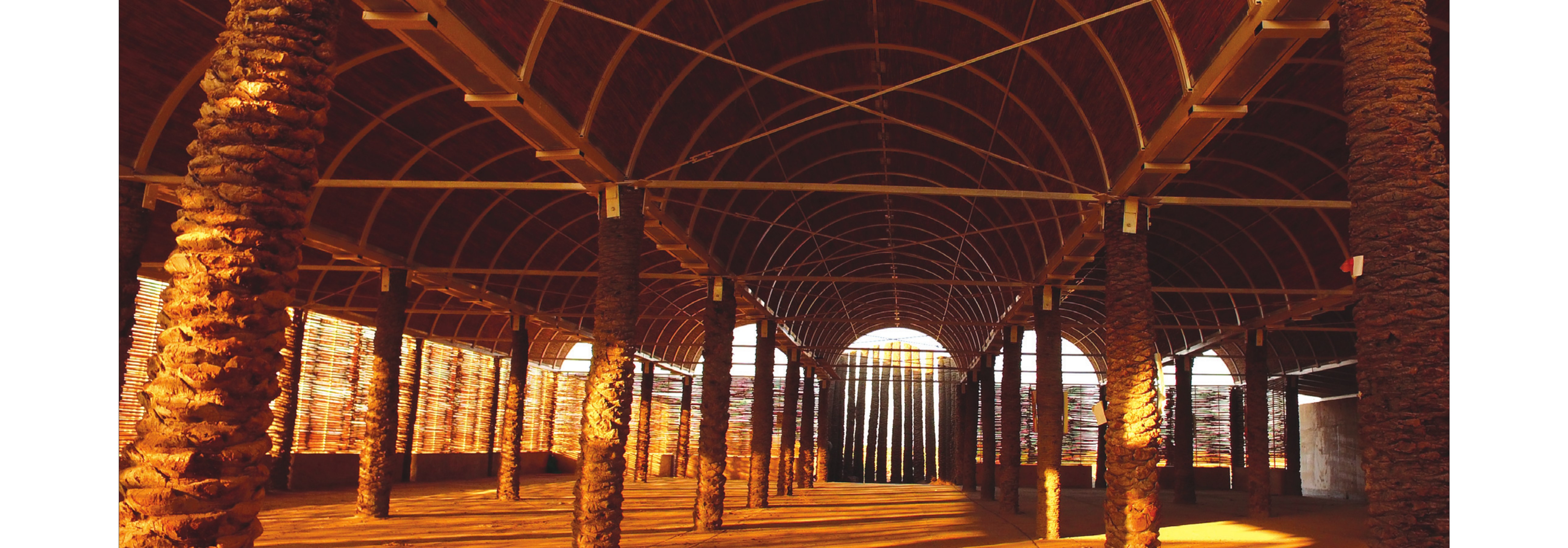 Interior — palm-trunk columns and woven reed vaults