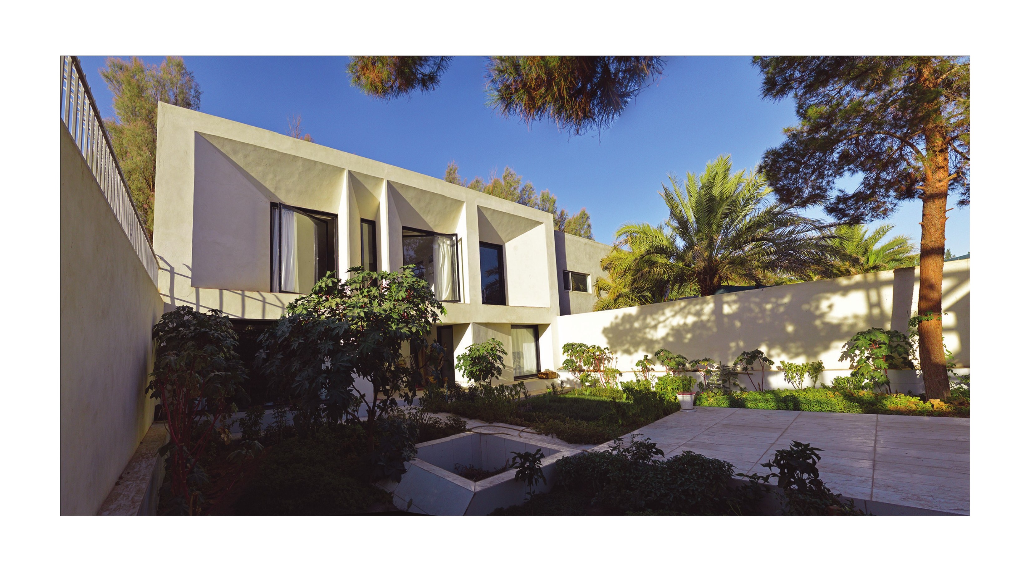 Garden view with palm and pines