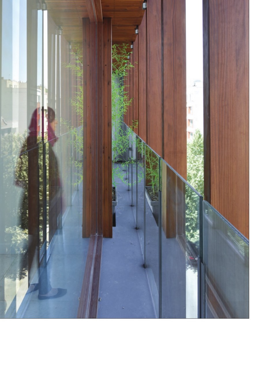 Wood-louvred terrace looking onto the planted patio