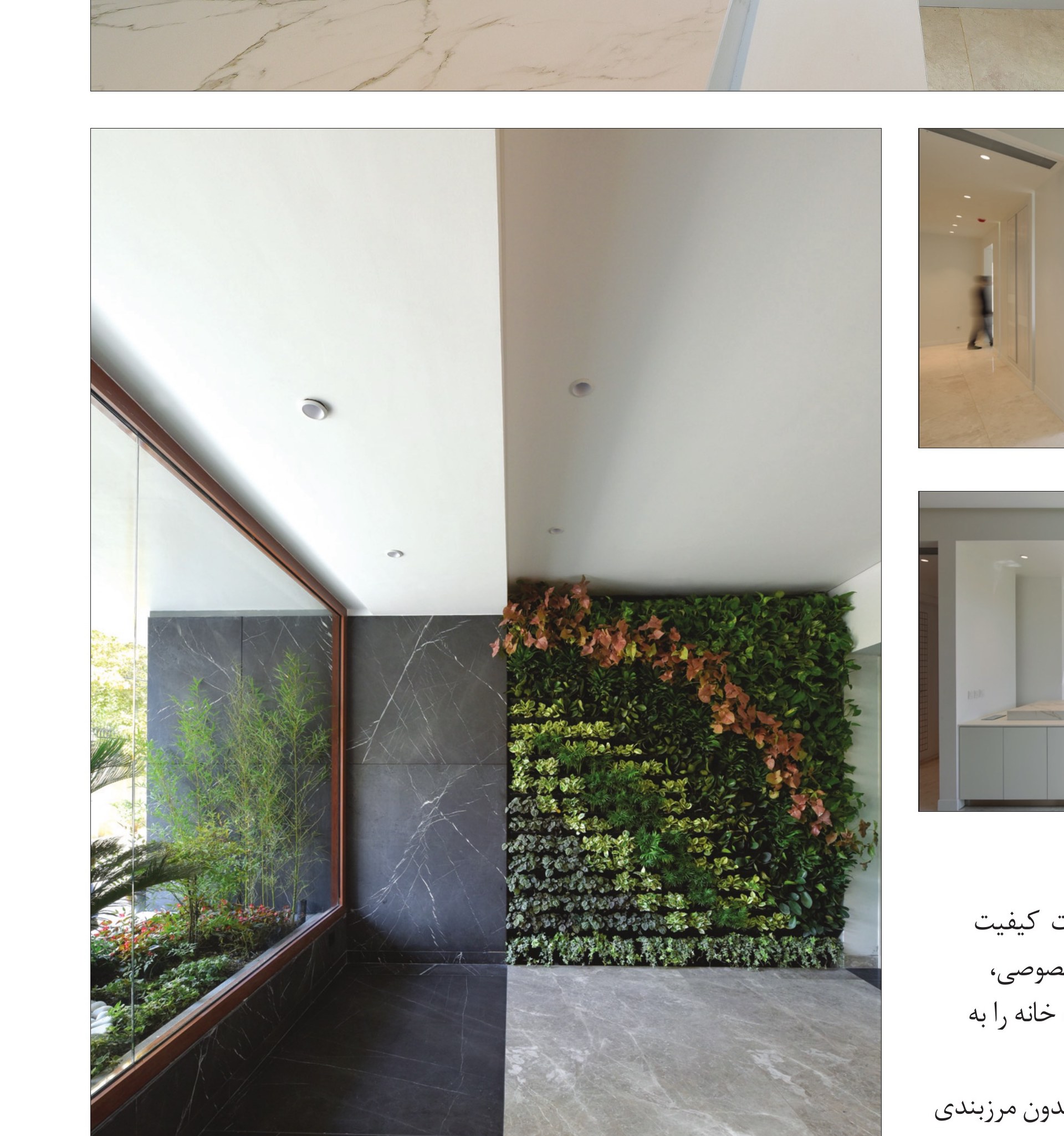 Black-stone wall meeting the green living wall