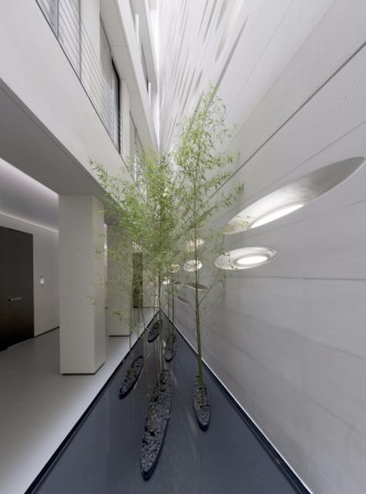 Interior with continuous shell logic