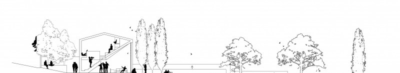 Long site section